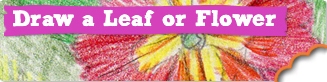 Draw a Leaf or Flower