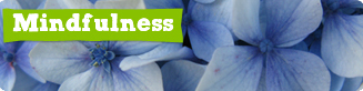 Mindfulness