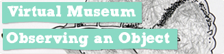 Observing an Object