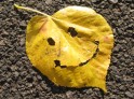 Have a good day - Making Faces in Places