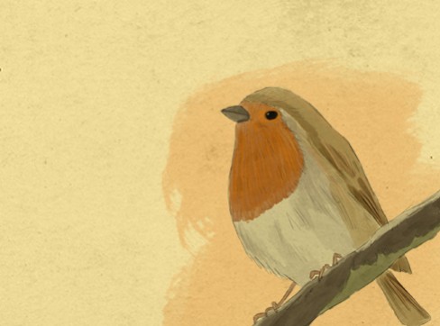 Robin