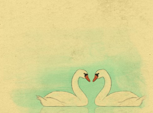 Swans