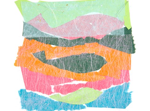 Fish Collage