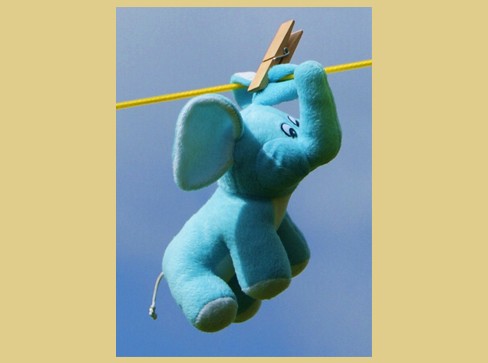 Don't Forget (Flying Elephant)